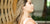 MULTICOLOR FRESHWATER PEARL EARRINGS - Maureen's Island Gems