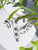 TRIPLE HALOED FRESHWATER PEARL NECKLACE WITH 29