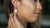 PACIFIC CAT'S EYE EARRINGS - Maureen's Island Gems